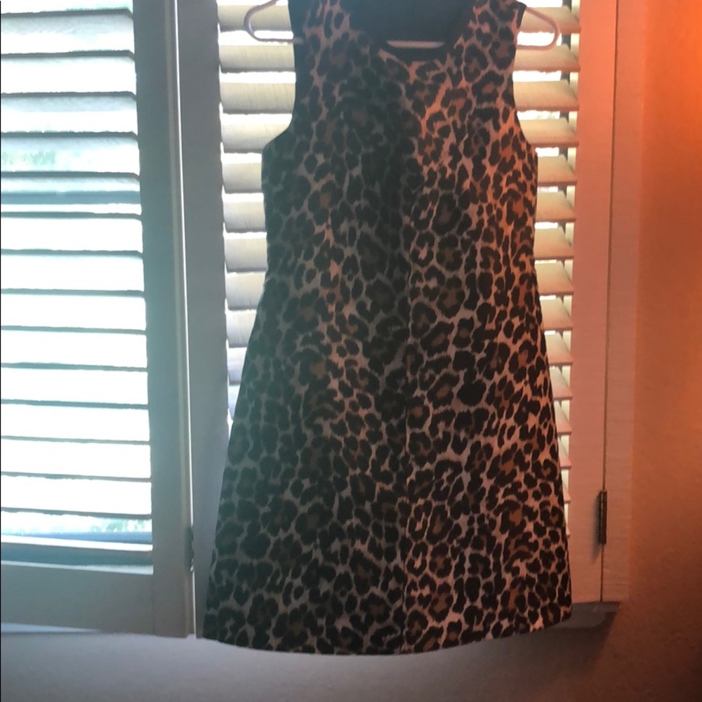 JCrew dress